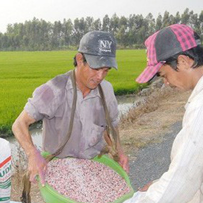 Sản xuất, kinh doanh phân bón kém chất lượng ngày càng tinh vi