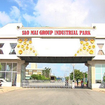 Sao Mai Group (ASM): Kế hoạch lợi nhuận tăng 131% lên 1.630 tỷ đồng, huỷ phương án huy động trái phiếu và cổ phiếu năm 2021