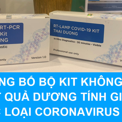 Sao Thái Dương kết hợp cùng Đại học Bách Khoa Hà Nội nghiên cứu thành công bộ kit chuẩn đoán Covid-19: Chỉ 30 phút ra kết quả dựa trên đổi màu của phản ứng, có thể áp dụng tại y tế tuyến cơ sở