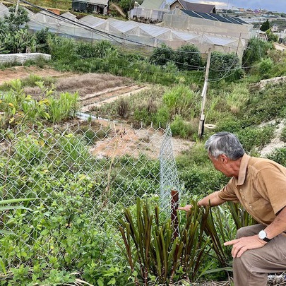 Sập bẫy "tín dụng đen" với hợp đồng giả cách, nông dân mòn mỏi chờ giải quyết