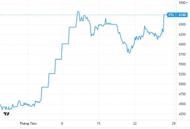 Sắp được rót thêm 1.000 tỷ đồng, cổ phiếu PTL tăng hơn 50% trong vòng 1 tháng - Ảnh 2.