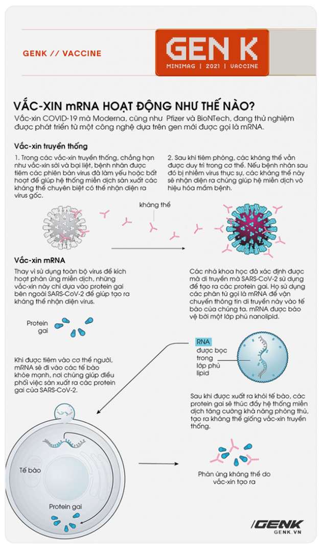 Sau COVID-19, công nghệ vắc-xin mRNA sẽ giúp chúng ta chữa khỏi bệnh ung thư - Ảnh 4.