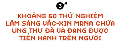 Sau COVID-19, công nghệ vắc-xin mRNA sẽ giúp chúng ta chữa khỏi bệnh ung thư - Ảnh 6.