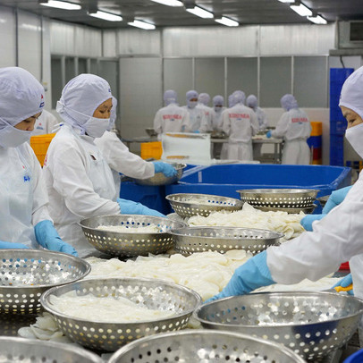 Sau đợt chi trả cổ tức bằng tiền tỷ lệ 17%, Thủy sản Kiên Hùng phát hành cổ phiếu tăng vốn điều lệ