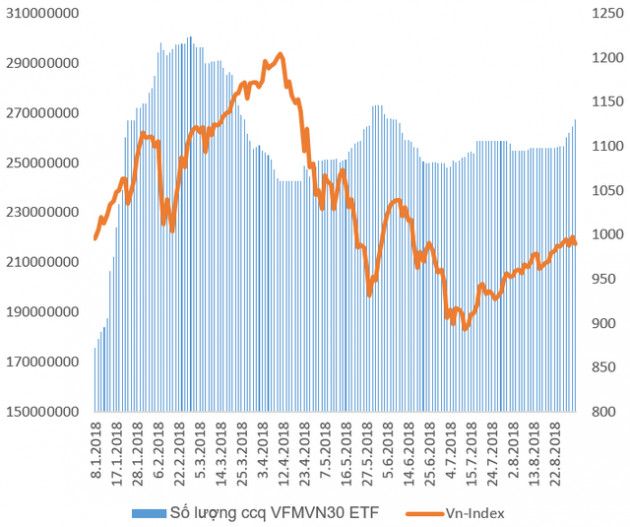 Sau giai đoạn liên tục bị rút vốn, quỹ ETF nội VFMVN30 đã hút ròng hơn trăm tỷ đồng chỉ trong tuần cuối tháng 8 - Ảnh 1.