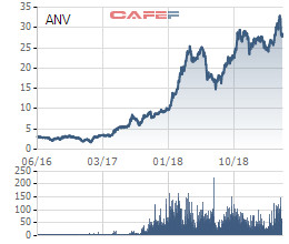 Sau giai đoạn thăng hoa với cổ phiếu tăng gấp 3 năm 2018, thủy sản Nam Việt (ANV) đang đau đầu bởi tỷ giá, thị trường cá tra đảo chiều mạnh - Ảnh 5.