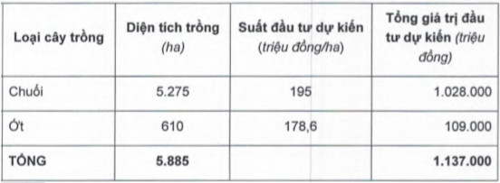 Sau khi bắt tay với bầu Đức, Thaco chính thức tuyển dụng sếp kinh doanh trái cây - Ảnh 1.