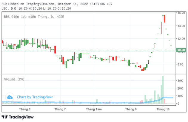Sau khi giải trình lý do tăng trần 5 phiên, LEC lại bị HoSE yêu cầu giải trình lý do giảm sàn 5 phiên - Ảnh 1.