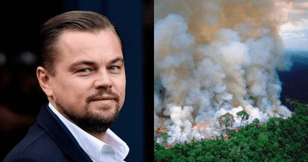 Sau Leonardo DiCaprio, Tim Cook cho biết Apple sẽ quyên góp tiền để bảo tồn đa dạng sinh học và khôi phục rừng Amazon - Ảnh 2.