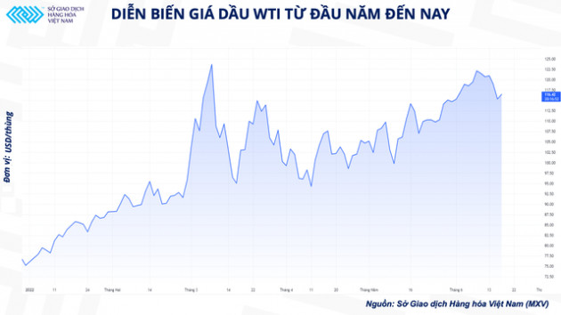 Sau một loạt các báo cáo tháng quan trọng, giá dầu đã bắt đầu bị kìm hãm? - Ảnh 1.