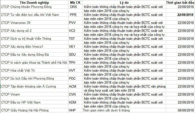 Sau mùa BCTC hàng loạt cổ phiếu bị đưa vào diện không được giao dịch ký quỹ - Ảnh 2.