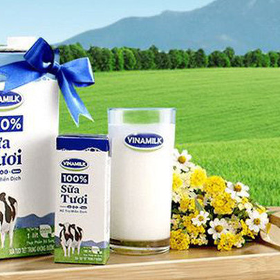 Sau nhiều lần đăng ký, F&N Dairy vừa mua thêm được 6 triệu cổ phần Vinamilk