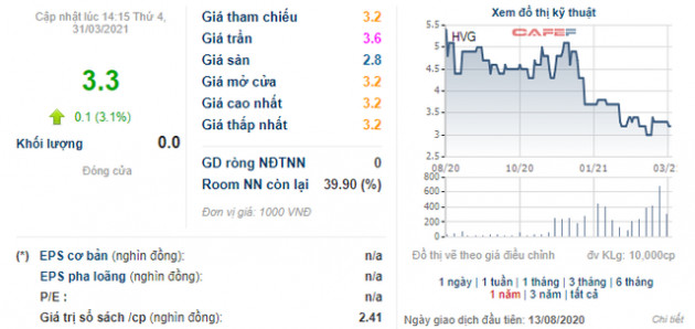 Sau nửa năm làm cổ đông lớn, 1 lãnh đạo của Hùng Vương (HVG) lại đăng ký bán ra gần 37 triệu cổ phiếu HVG - Ảnh 1.