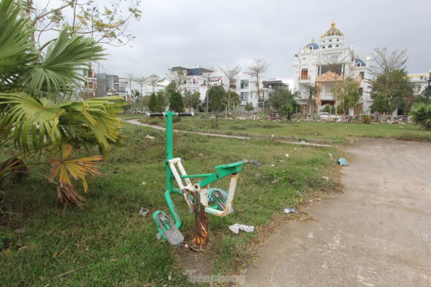 Sau phân lô bán nền, loạt khu đô thị kiểu mẫu thành nơi thả bò, trồng rau - Ảnh 13.