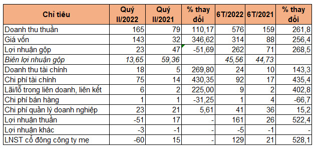 Sau quý đầu năm lãi kỷ lục, Saigontel báo lỗ 60 tỷ đồng quý II - Ảnh 1.