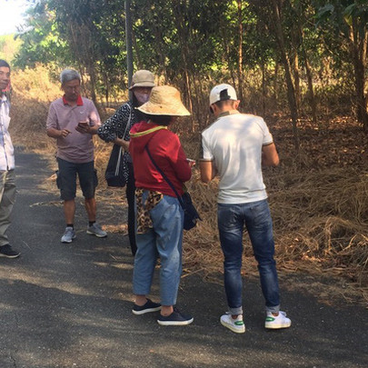 Sau Tết, nhà đầu tư quay lại "săn" đất Nhơn Trạch, thị trường sôi động trở lại