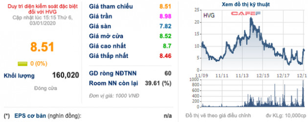 Sau tháng ngày ‘bê bết’, Thuỷ sản Hùng Vương (HVG) còn lại gì khi hợp tác với THACO? - Ảnh 3.