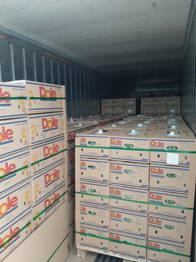 SBT xuất khẩu lô chuối Nam Mỹ đầu tiên sang Hàn Quốc - Ảnh 1.