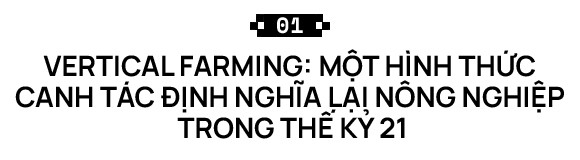 Sẽ thế nào khi rau được trồng trong nhà máy, bằng robot, AI và thế hệ nông dân 4.0? - Ảnh 1.