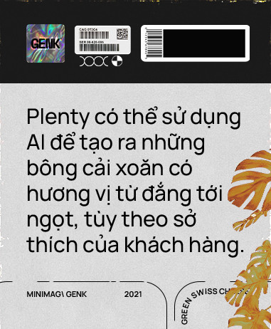 Sẽ thế nào khi rau được trồng trong nhà máy, bằng robot, AI và thế hệ nông dân 4.0? - Ảnh 14.