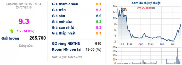 ĐHĐCĐ SSN: Thay máu dàn lãnh đạo với đại diện là người Trung Quốc, tiếp tục đổ tiền làm bất động sản bất chấp đang gặp vướng về pháp lý - Ảnh 3.