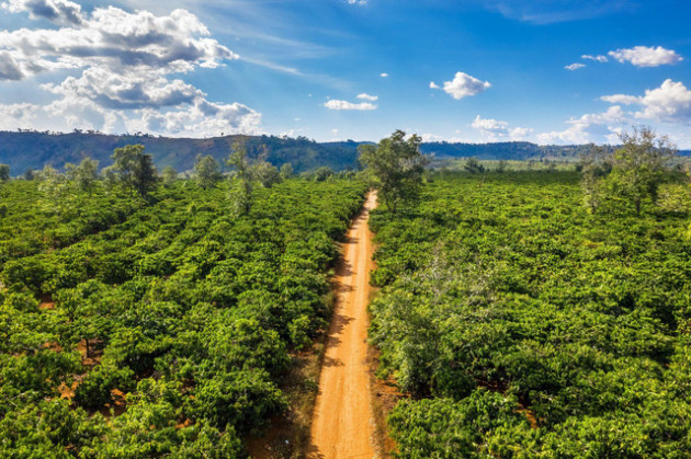 SHIN Cà Phê nâng tầm nông sản việt bằng bộ sản phẩm Quà tặng doanh nghiệp - Ảnh 3. SHIN Cà Phê nâng tầm nông sản việt bằng bộ sản phẩm Quà tặng doanh nghiệp - Ảnh 3.