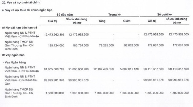 Siết nợ một công ty trong hệ sinh thái FLC, Agribank giảm mạnh giá bán mảnh đất 3.000m2 tại TP HCM - Ảnh 2.