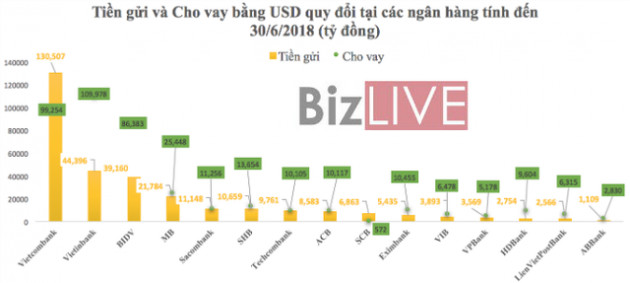 Siết tín dụng ngoại tệ: Ngân hàng nào đang “ôm” cho vay USD nhiều nhất? - Ảnh 1.