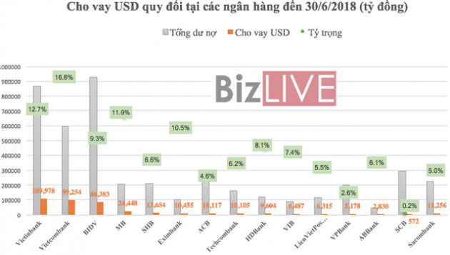 Siết tín dụng ngoại tệ: Ngân hàng nào đang “ôm” cho vay USD nhiều nhất? - Ảnh 2.