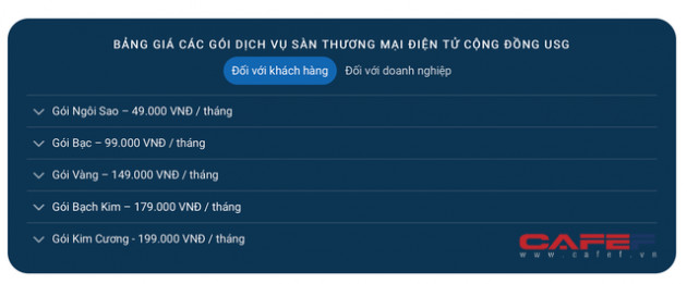 Siêu công ty vốn 500.000 tỷ ra mắt Sàn TMĐT: Quảng cáo tiếp cận 3 tỷ khách hàng, thành viên trả phí 49.000 đồng/tháng được nhận cổ phần và cổ tức - Ảnh 1.