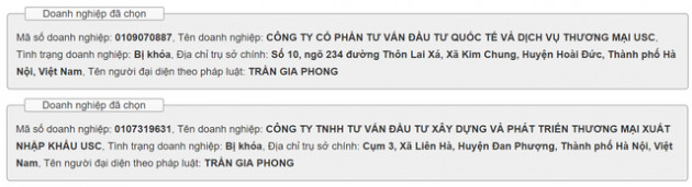 Siêu doanh nghiệp vốn điều lệ 144.000 tỷ đồng đã lặng lẽ biến mất - Ảnh 2.