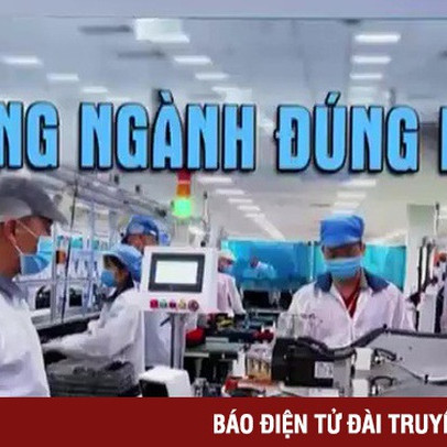 Sinh viên ra trường khó làm đúng nghề, doanh nghiệp lại thiếu lao động trầm trọng