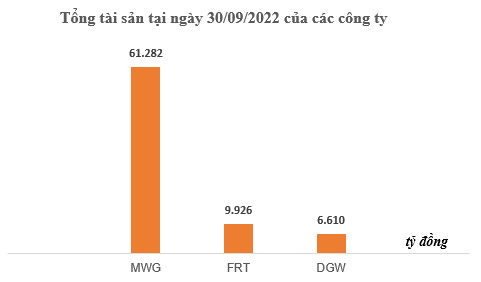  So găng sổ đỏ của Thế giới di động, Digiworld và FPT Retail: Doanh nghiệp nào nhiều nhà đất nhất? - Ảnh 1.