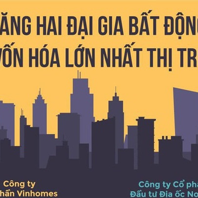 So sánh chiến lược kinh doanh của Vinhomes vs Novaland: Novaland mở rộng quỹ đất nhờ M&A, Vinhomes đa dạng hoá kinh doanh để gia tăng nguồn thu bền vững