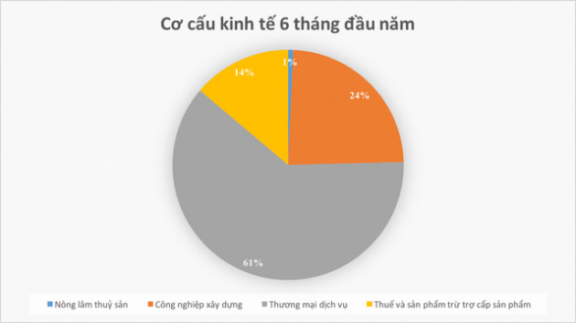 Soi các chỉ số kinh tế đáng chú ý của TP. Hồ Chí Minh trong nửa đầu năm 2019 - Ảnh 3.