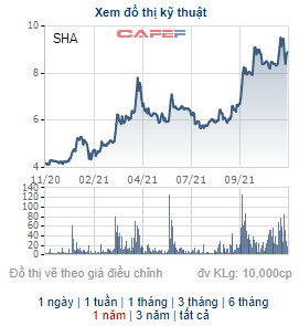 Sơn Hà Sài Gòn (SHA) phát hành 1,6 triệu cổ phiếu trả cổ tức năm 2020 - Ảnh 1.