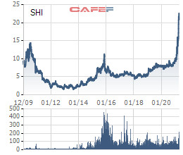 Sơn Hà (SHI) báo lãi quý 1 hơn 40 tỷ, hoàn thành gần 40% kế hoạch năm 2021 - Ảnh 2.