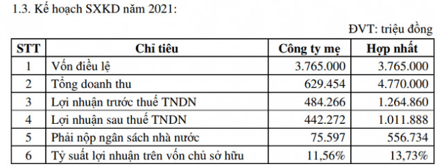 Sonadezi (SNZ) đặt kế hoạch lãi sau thuế trên nghìn tỷ năm 2021 - Ảnh 2.