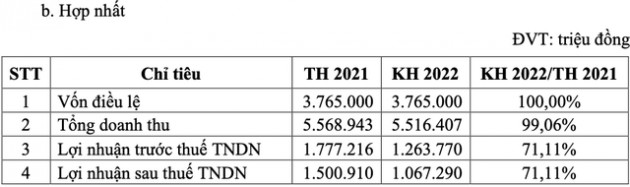 Sonadezi (SNZ) đặt mục tiêu lãi sau thuế năm 2022 giảm 29% về mức 1.067 tỷ đồng - Ảnh 2.