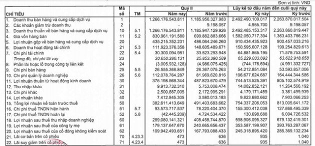 Sonadezi (SNZ) lãi xấp xỉ 600 tỷ đồng trong 6 tháng đầu năm, hoàn thành 59% kế hoạch - Ảnh 1.