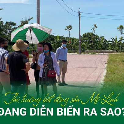 Sóng đấu giá bất động sản đổ về Mê Linh, thị trường khu vực đang diễn biến ra sao?