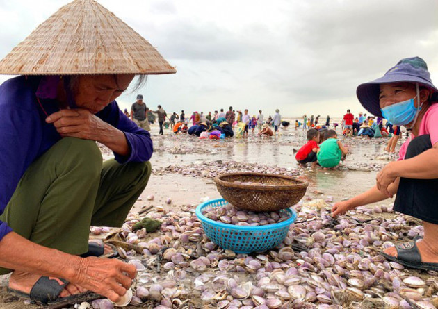 Sóng đưa lộc vào bờ, người dân đổ xô đi nhặt kiếm bạc triệu chỉ trong vài giờ - Ảnh 4.