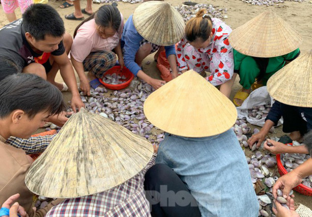 Sóng đưa lộc vào bờ, người dân đổ xô đi nhặt kiếm bạc triệu chỉ trong vài giờ - Ảnh 6.