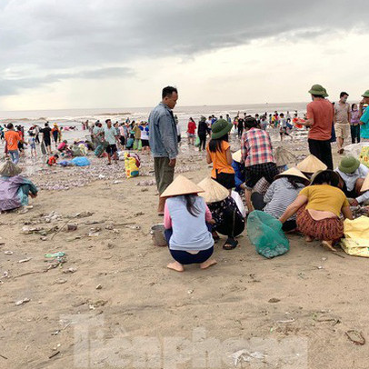 Sóng đưa 'lộc' vào bờ, người dân đổ xô đi nhặt kiếm bạc triệu chỉ trong vài giờ