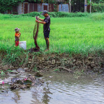 Sống khổ "xuyên thế kỷ", người dân Bình Quới - Thanh Đa mong mỏi sớm có nhà đầu tư mới, được tái định cư tại chỗ