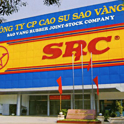 SRC tăng gấp đôi sau 5 tháng, một cá nhân bất ngờ rút lui khỏi đợt đấu giá thoái vốn nhà nước