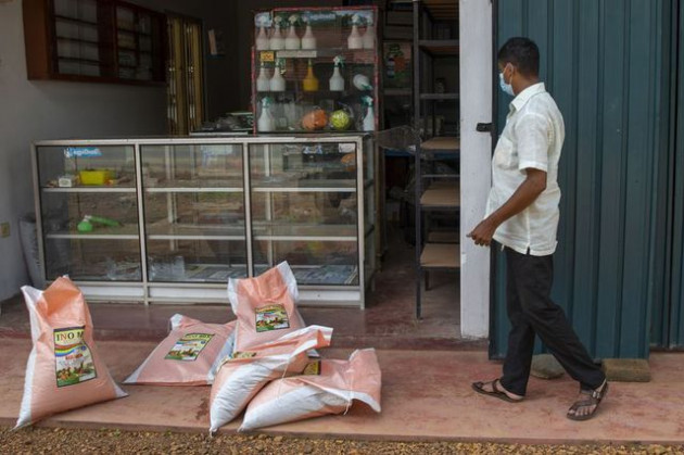 Sri Lanka và cuộc khủng hoảng tồi tệ chưa từng có: Nông dân ngừng cấy lúa, người lao động được nghỉ ở nhà để tự cung tự cấp lương thực - Ảnh 2.