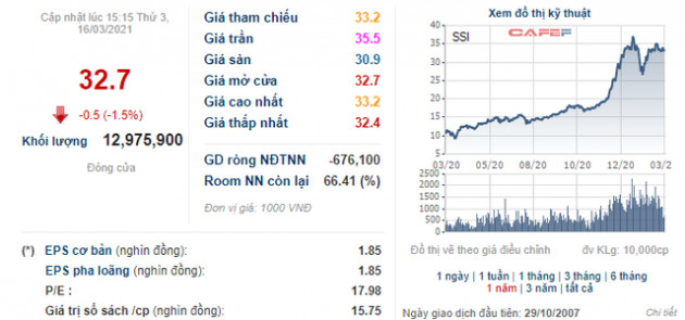 Chứng khoán SSI phát hành gần 47 triệu cổ phiếu chuyển đổi cho 1.150 tỷ đồng trái phiếu chuyển đổi của EN Fund - Ảnh 1.