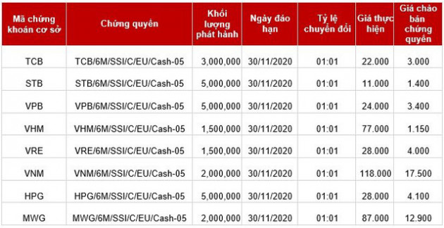 SSI phát hành thêm 8 mã chứng quyền mới dựa trên các cổ phiếu chủ chốt - Ảnh 1.