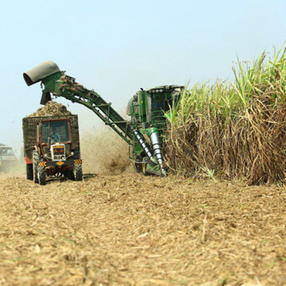 SSI Reseach: Áp thuế chống bán phá giá đã có kết quả với ngành đường, QNS, SLS hưởng lợi nhiều nhất với biên lợi nhuận tăng phi mã